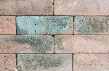 Closeup old and dirty red brick wall texture background