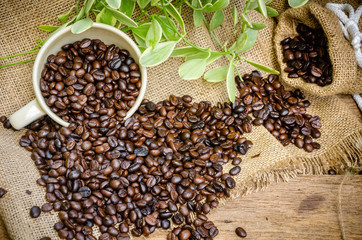 coffee beans