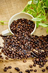 coffee beans