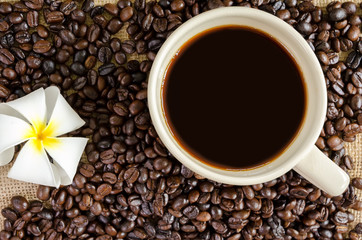 Dark coffee and coffee beans with Plumeria