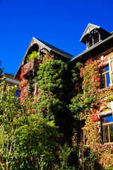 Wohnhaus mit Efeu
