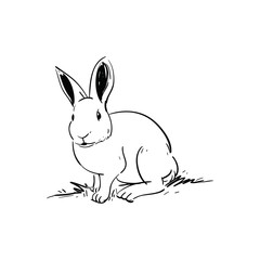 Obraz premium Rabbit sketch