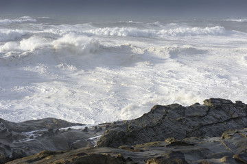 Swells of a Decade Crashing Against the Cliffs of Shore Acres State Park, Coos Bay Oregon