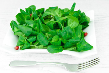 Green Fresh Salad on Plate.