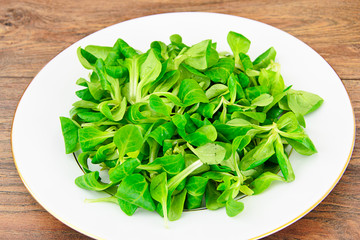 Green Fresh Salad 