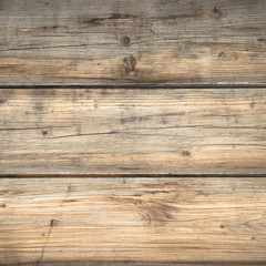Fototapeta premium Wood wallpaper