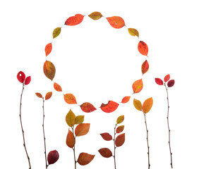 круг осенних листьев