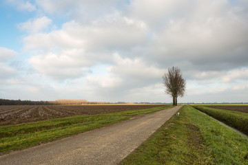 Fototapeta na wymiar Rural landscape in the fall season