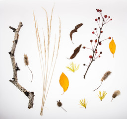 Осенний набор