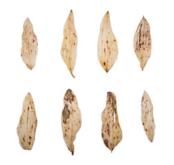 увядщие листья