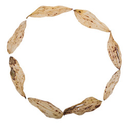 увядщие листья