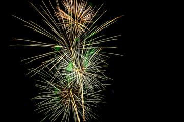 Fireworks light up the sky
