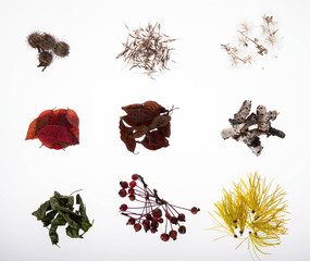 Набор осенний № 7