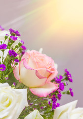 Flower roses background