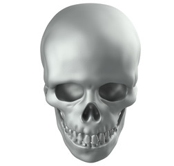 Human skull on white background with clipping path