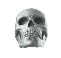 Obraz premium Human skull on white background with clipping path