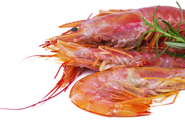 isolated prawns
