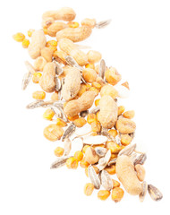 nuts isolated on a white background
