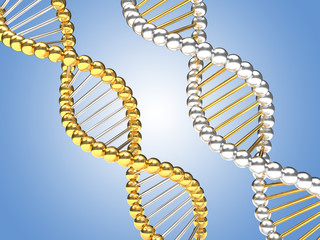Golden and silver DNA strings on blue background