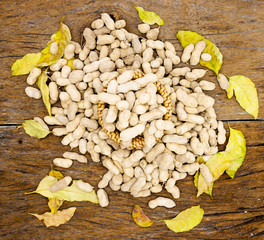 raw peanuts on wood