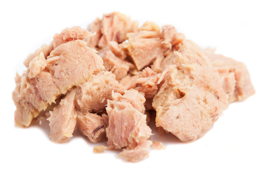 served tuna isolated on a white background