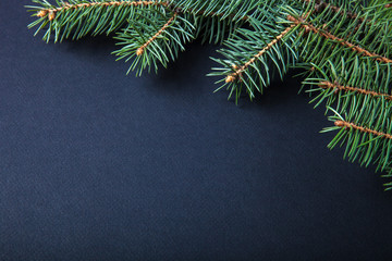 Christmas tree branch on a black table or board for background.