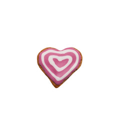 Homemade gingerbread cookie with colored frosting isolated on a