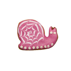 Homemade gingerbread cookie with colored frosting isolated on a