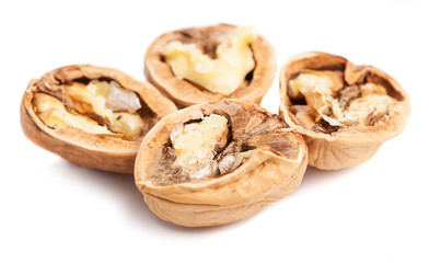 some walnuts opened on a white background