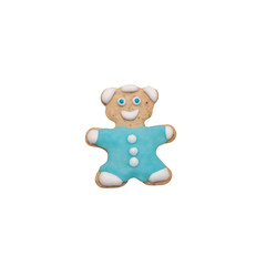 Homemade gingerbread cookie with colored frosting isolated on a