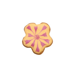 Homemade gingerbread cookie with colored frosting isolated on a