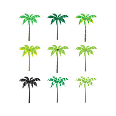 Palm trees set