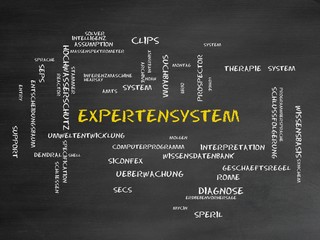 Expertensystem