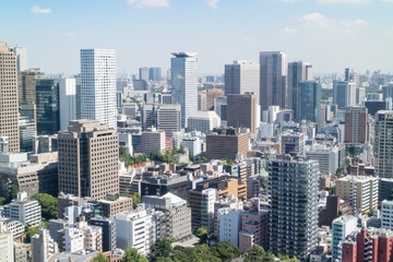 Fototapeta premium tokyo landscape