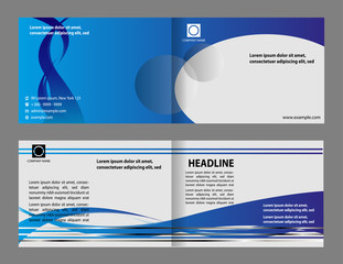 vector business brochure, flyer template
