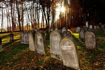 Jewish tombstones on the historic Jewish cemetery in forest in K