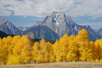 grand teton autumn