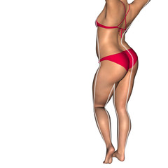 Conceptual 3D fat overweight vs slim fit diet woman
