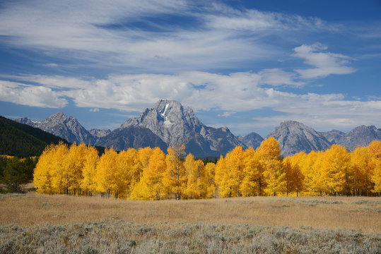 Grand Teton Autumn