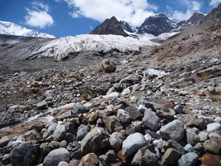 Fototapeta na wymiar glacier valley with white glacier