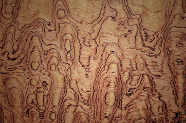 veneer wood texture for background