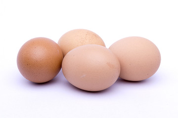 Egg on white background