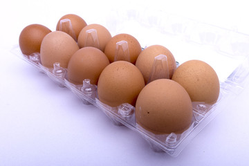 Egg on white background