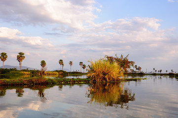 African scenery on Lake Manze ,Selous