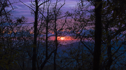Purple sunset in a forest near Ortonovo, liguria