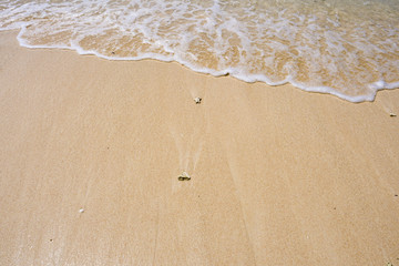 Beach sand and wave