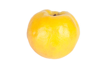 Quince isolated on white background