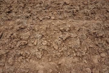 close up soil preparation