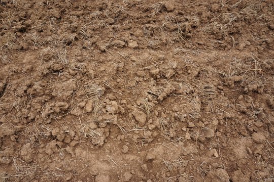 close up soil preparation