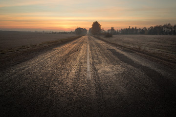 lonely tree fall times